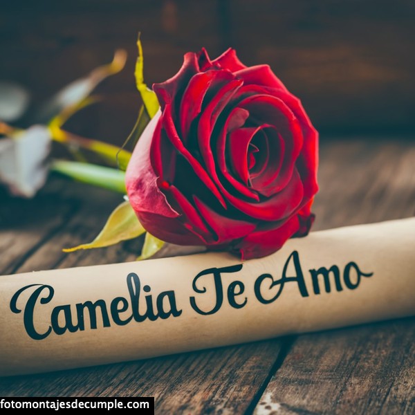imagenes de te amo con rosa roja y nombre 3d camelia