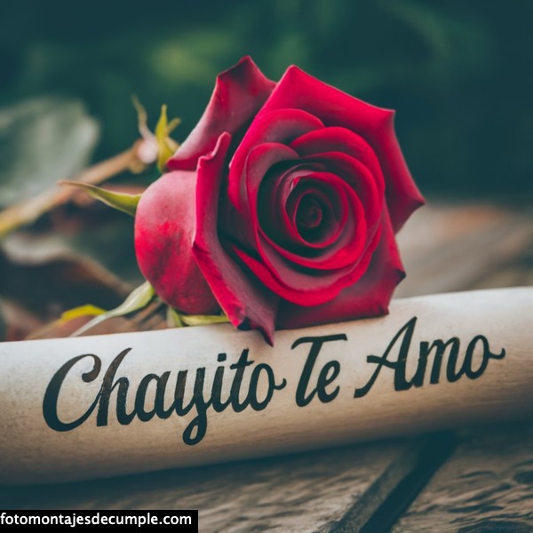 imagenes de te amo con rosa roja y nombre 3d chayito