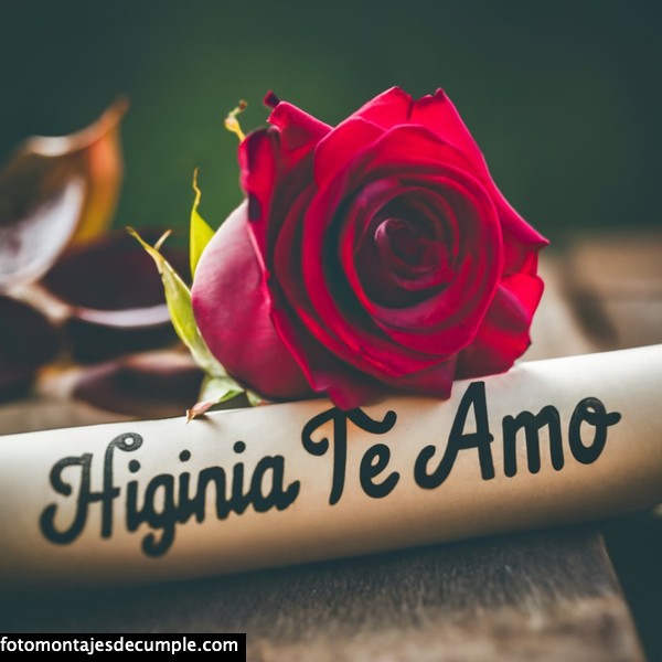imagenes de te amo con rosa roja y nombre 3d higinia