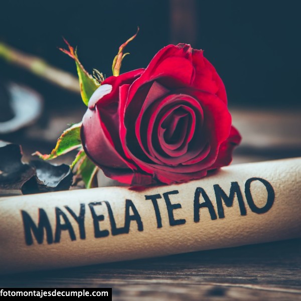 imagenes de te amo con rosa roja y nombre 3d mayela