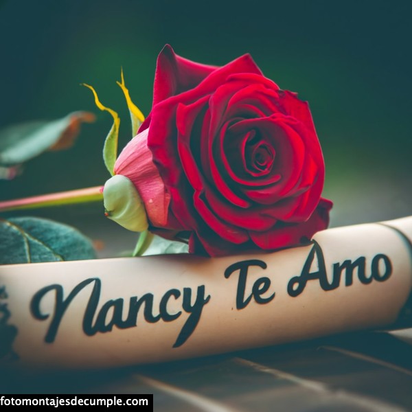 imagenes de te amo con rosa roja y nombre 3d nancy